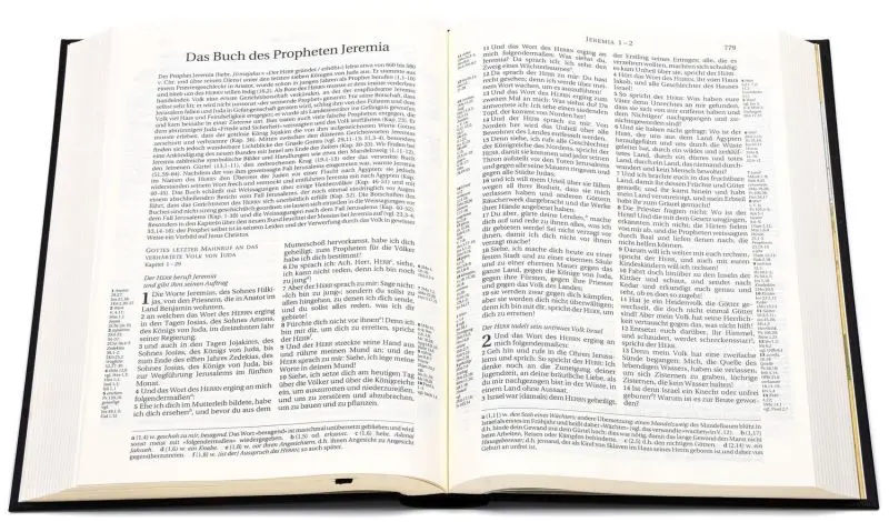 CLV_schlachter-2000_255033_2_800x800.webp