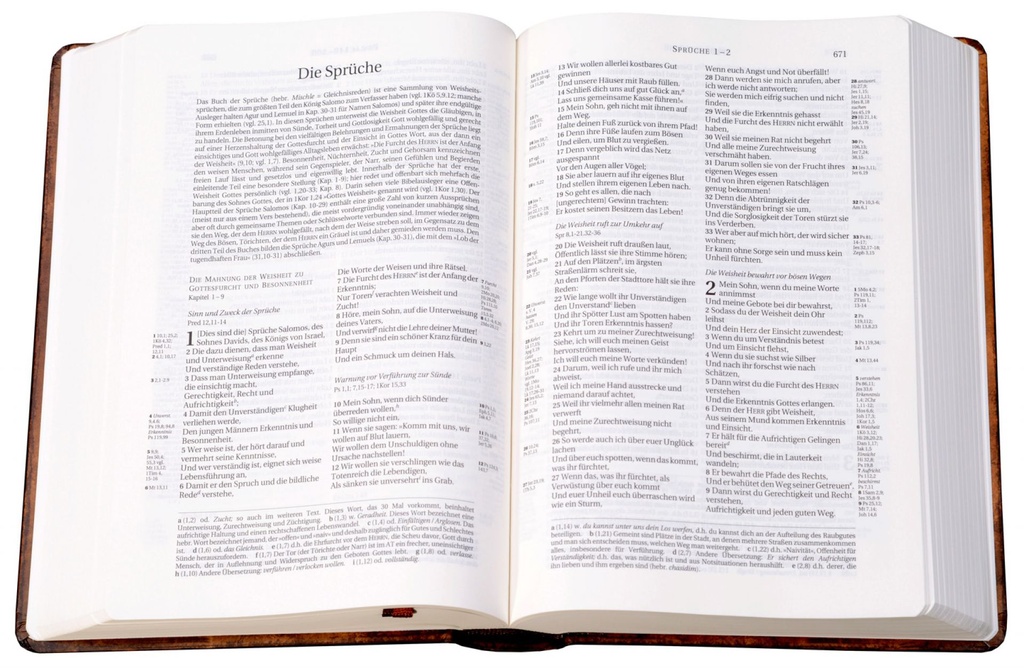 Schlachter 2000 Bibel - Taschenausgabe (Hardcover, braun, Vintage)
Taschenausgabe mit Parallelstellen, farbiger Einband Vintage hellbraun / Fadenheftung